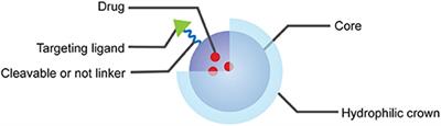 Enzyme-Responsive Nanoparticles for Anti-tumor Drug Delivery